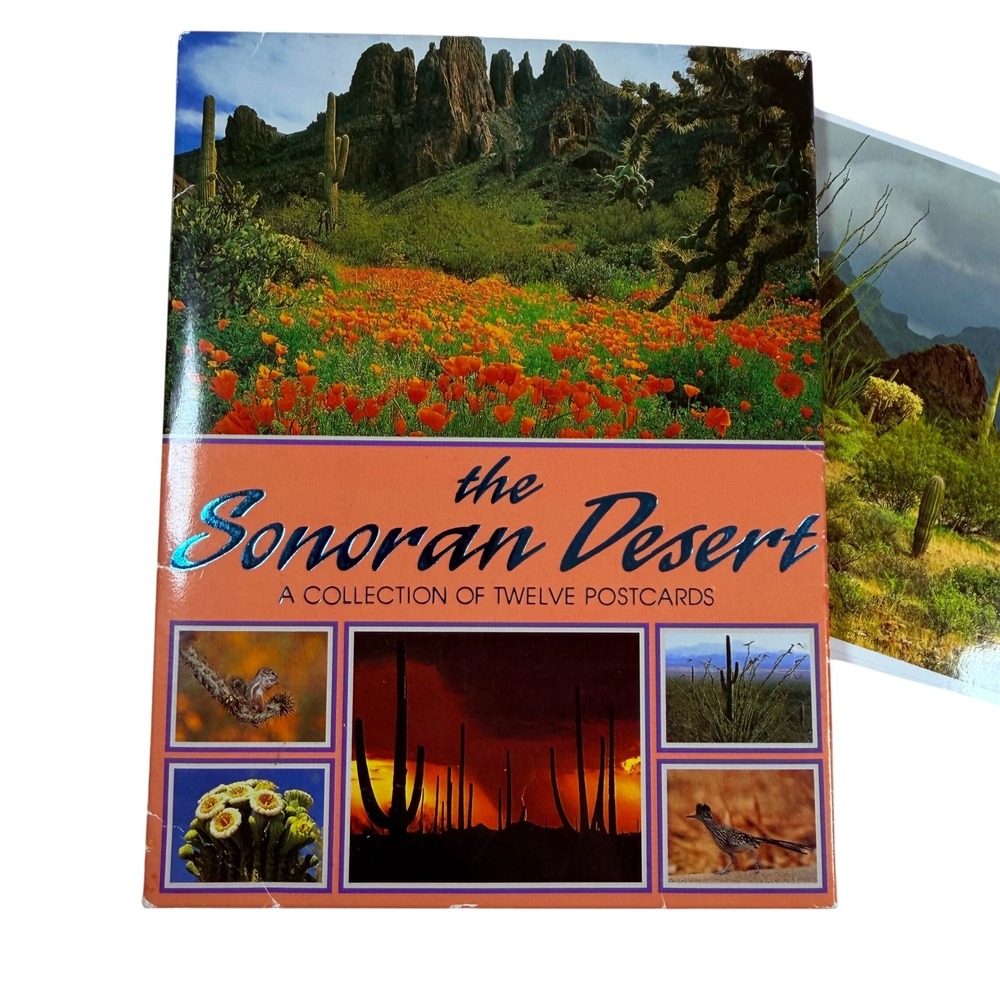 VTG Impact Sonoran‎ Desert Postcard Partial Set Nature 11 Cards Printed in Japan
